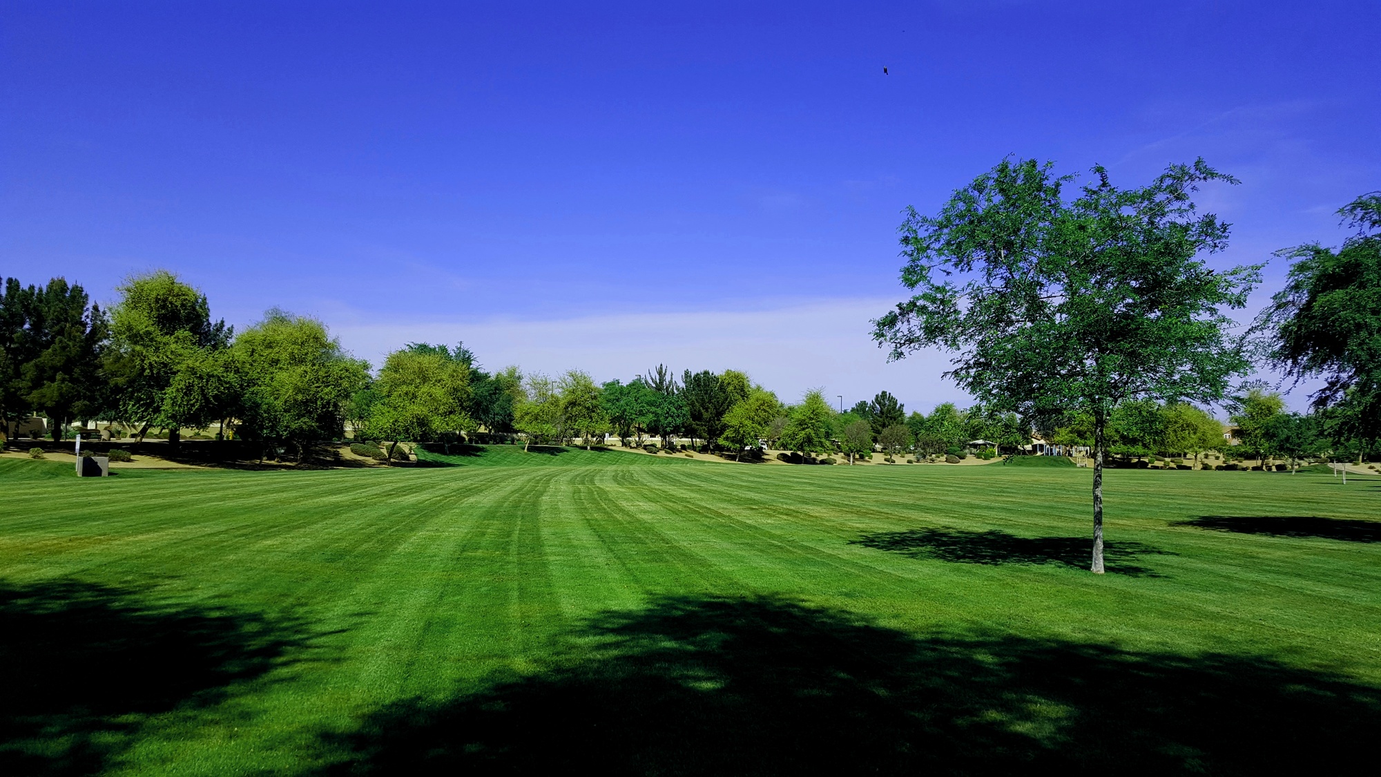 Neely Commons